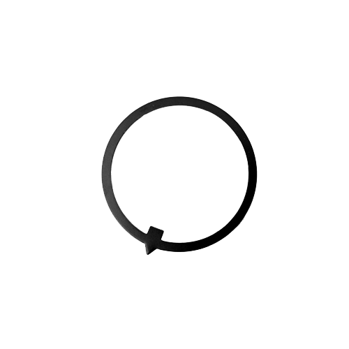 Guard ring for quick-change tool holder, Multisuisse