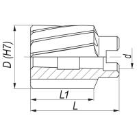 Vorschau: Aufsteckreibahle DIN 219 Form B - spiralgenutet, HSS Vorschau: Aufsteckreibahle DIN 219 Form B - spiralgenutet, HSS