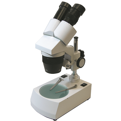 Stereo microscope with illumination