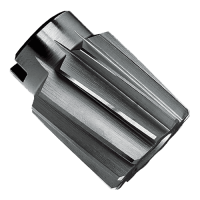 Vorschau: Aufsteckreibahle DIN 219 Form B - spiralgenutet, HSS Vorschau: Aufsteckreibahle DIN 219 Form B - spiralgenutet, HSS